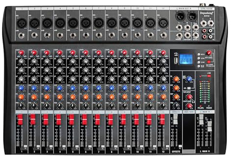Depensheng DX12 DJ Sound Controller Interface w/USB Drive for Computer Recording 12-Channel Studio Audio Mixer - XLR Microphone Jack, 48V Power, RCA Input/Output for Professional and Beginners