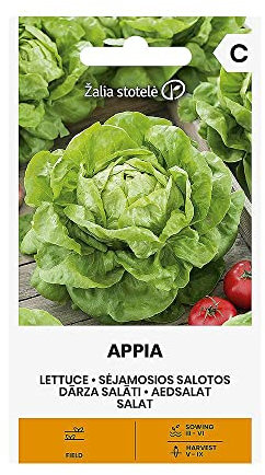 Zalia stotele | LATTUGA APPIA Semi | Semi di Lattuga | Semi di ortaggi | Semi di piante | Semi da giardino | 1 pacchetto