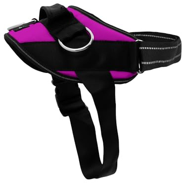 ShawnCo Essential Dog Harness, No-Pull Pet Vest with 3 Leash Clips, No Choke, Reflective, Adjustable and Padded, for Easy Walking and Training for Small, Medium and Large Dogs (Orchid, M)