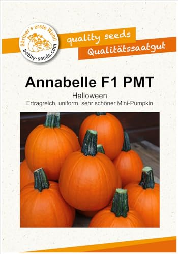 Kürbissamen Annabelle F1 Portion