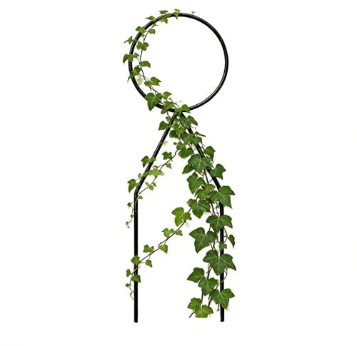 Jubepk Rankgitter für Zimmerpflanzen, 33 cm, wetterfeste Halterung, kleines Rankgitter für Topfpflanzen, für Efeu, Zimmerpflanzen, Blumenhof, Terrasse, Rasen, Balkon