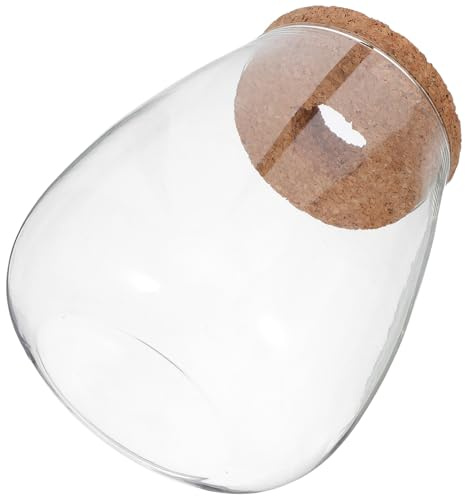 IWOWHERO Lot de 2 Vases de Propagation Hydroponiques en Verre avec Bouchon en Liège Perforé, Grand Format Transparent, Contenant pour Plantes D’intérieur, Décoration Bureau et Jardin,