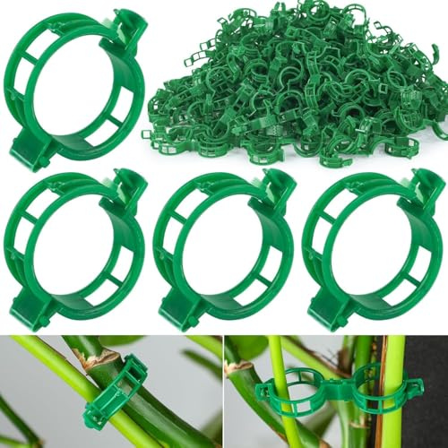 MAIREULB 100 Stück Pflanzenstützklammern, Gartenpflanzenstütze, Pflanzenklammern für Kletterpflanzen, Rankenklammern, Blumenstielklammern zum Befestigen von Tomaten, Gemüse, Gurken grün