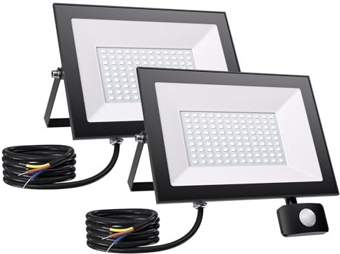 100W LED Strahler mit Bewegungsmelder Aussen - 10000LM 6500K Strahler mit Bewegungsmelder Aussen, IP65 Wasserdicht LED Fluter mit Bewegungsmelder Außen für Garten Garage Sportplatz Hinterhof, 2 Stück