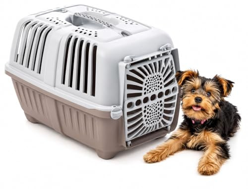 rasportino per Cani e Gatti Taglia Piccola 48x32x33h cm - Kennel in Plastica Rigida con Griglia, Chiusura Sicura, Maniglia, Ventilazione Ottimale, per Auto Viaggi Veterinario