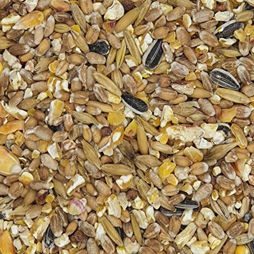 Gladen Geflügelkörnerfutter (GVO frei) 25kg - Hühner Enten Gänse Vogel