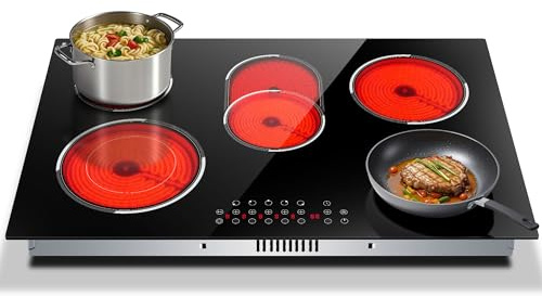 Traenvir 30 Inch Electric Cooktop, Built-in 5 Burner Electric Stovetop 8400W, 30 Glass Ceramic Cook Top with Expanded Zone, Child Safety Lock, Timer, Pause Control, 220V - 240V Hard Wire, No Plug
