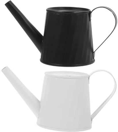 DECORNIJIA Kleiner Gießkanne Deko mit Langem Ausguss aus Verzinktem Eisen 2 Stück Robuste Kleine Gießkannen für Pflanzen und Sukkulenten im Büro oder Outdoor Bereich