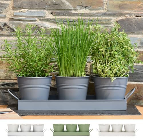 CKB LTD Maceta para Hierbas Plantas de Interior Bandeja Lote de 3 Crecer Hierbas Frescas en casa jardineras alféizar Cocina para albahaca Menta perejil Flores Metal (Gris carbón)