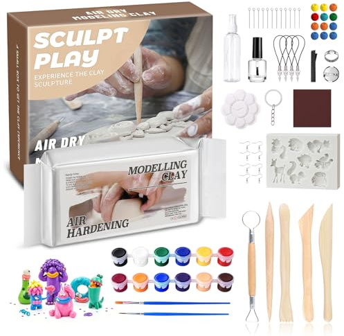 Flintronic Sten lera set, 12 färger gör-det-själv modelleringslera, 500 g vit luft torr lera, gjutlera kit med skulpteringsverktyg, hantverksgåva för nybörjare/vuxna