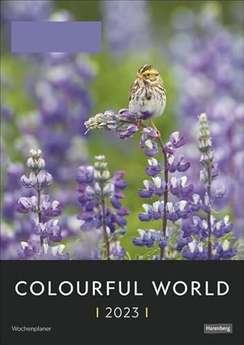 Colourful World - Wochenplaner 2023 - Harenberg-Verlag - Wochenkalendarium - 54 Blatt mit besten und eizigartigen Fotos - Planer mit Platz zum Eintragen - 25 cm x 35,5 cm - Küchenkalender