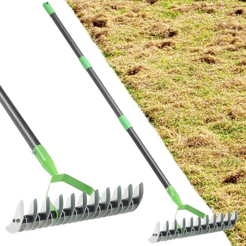 Râteau à chaume, râteau à Gazon 170 cm pour Le Nettoyage du Jardin, 21 Dents, Largeur 33 cm, râteaux en Acier métallique, Outils de Jardinage pour l'aménagement paysager