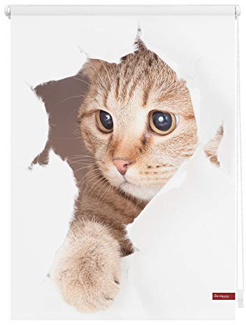 Lichtblick Klemmfix Verdunklungs-Rollo mit Motiv, ohne Bohren, Blickdicht, Seitenzugrollo, Made in Germany, Katze - Weiß Braun 100 x 150 cm (B x L)