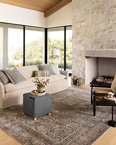 Loloi Amber Lewis Morgan Collection MOG-03 Denim/Multi 7'-3 x 9'-3 38 Thick Area Rug feat. CloudPile, Neutral, Room Décor, Vintage Inspired, Livingroom, Bedroom, Dining Area