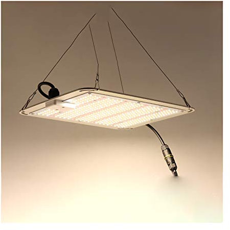 Panneau lumineux LED pour culture solaire, spectre complet, lumière de croissance pour plantes, panneau quantique, lampe de culture 1000 W, étanche, pour tente de culture de plantes à effet de serre