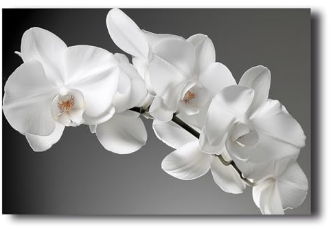 LZIMU Orchideen Leinwand Bilder blühende weiße Orchidee Blumenbild Drucke Zen Gemälde Meditationskunstwerk für Badezimmer Yoga Spa Raumdekoration Gerahmt (Bild-1, (30.00 x 45.00 cms))