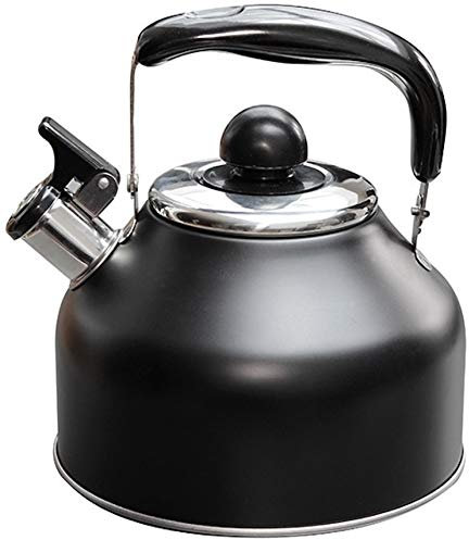 Outdoor Revolution COOK2110 Induction Hob Whistling Kettle 2.2L, Stainless Steel, 2.2 liters