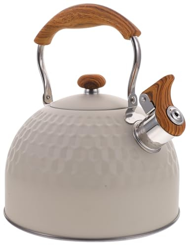 TOYZFRIENDY Bouilloire à sifflet inoxydable 25 L compatible cuisinière à induction et gaz bouilloire à eau bouillante sûre et pratique pour thé et café