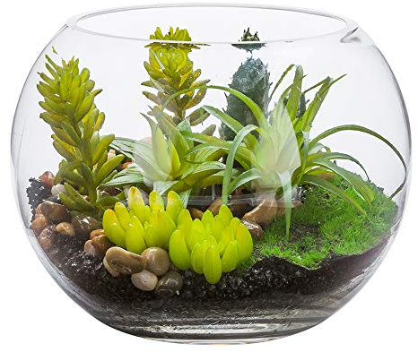 Restaurantware Künstliche Sukkulente, 17,8 x 14,9 cm, 1 realistische künstliche Sukkulente – im Glas-Terrarium als Tischdekoration, Regaldekoration oder Tafelaufsatz, Kunststoff, Schreibtischpflanze