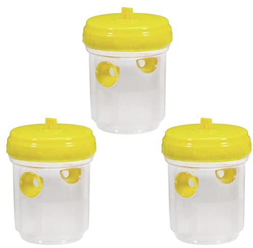 TAIPPAN Lot de 3 pièges à guêpes et Abeilles,Piège à frelons à Suspendre - Amovible et réutilisable, pour lintérieur et lextérieur
