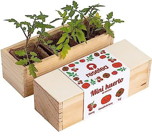 Mini Huerto de Tomates - Cherry, Corazón de Buey y Raf | Huerto Urbano | Regalo Original