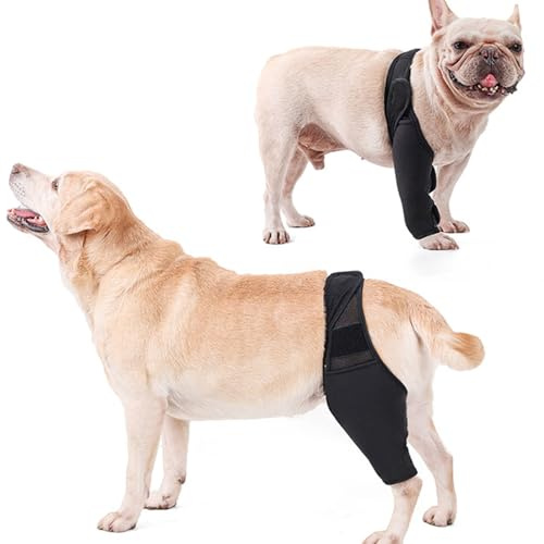 Zerodis Hunde-Kniebandage für Gerissenes ACL-Hinterbein, Kreuzbandverletzungen, Patellaluxation oder Arthrose, Hunde-ACL-Kniebandage, Hundebandage für das Hinterbein Zur Unterstützung (M)