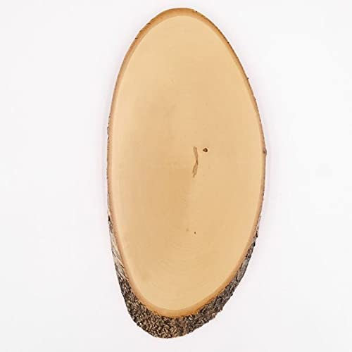 Birke Rothirsch AF 38 cm Hirsch Schild Trophäenschild Geweih Baumscheibe Baumschild Natur Holz modern