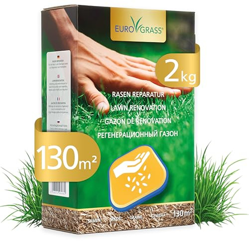Rasensamen Reparatur & Nachsaat Schnellkeimend | Dichte Mischung für Kahle Stellen & Strapazierten Rasen | Winterharte Rasensamen Herbst & Turbo Rasen Nachsaat – 2 kg für 130 m²