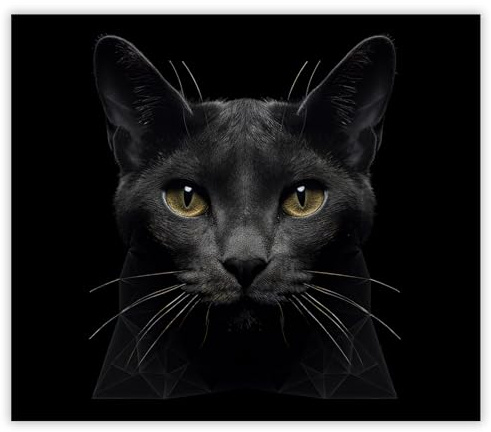 SMTDeco Herdabdeckplatte 60×52 cm – ESG gehärtetes Glas, kratzfest & rutschfest – Spritzschutz & Schneidebrett – für Induktion/Ceranfeld – 1-teilig, Motiv Katze Schwarz