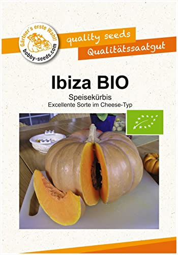 Kürbissamen Ibiza BIO-Portion