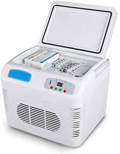Frigo Portatile per farmaci per insulina, Frigorifero per farmaci, Contenitore per Penne per insulina con interferone, Frigorifero di Grande capacità da 12 Litri, per Borsa Termica Medica da Viaggio