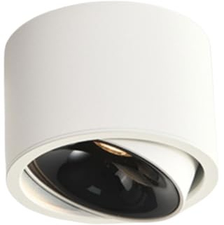 Foco Luz de Techo Toda la luz del Tubo de Aluminio Ángulo Moderno Luz antideslumbrante Ajustable Balcón Mural Fondo Pared Comercial Guardarropa Luz de Techo