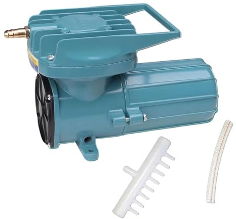 budiniao Tragbare Luftpumpe für Aquarien, Reine Druckluft mit ölfreier Schmierung, Mehrzweckpumpe mit Griff, 12 V DC, für Aquarien, 12 V 60 W, 220 x 110 x 136 mm