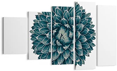 Moderne Impression sur Toile Agave Reine Victoria Image Tableau Decoration Murale 100x60cm Deco Cadre Décoration Salon Chambre Triptyque 5 parties Tableaux Decoratifs Muraux Art Wall EG100x60-4129