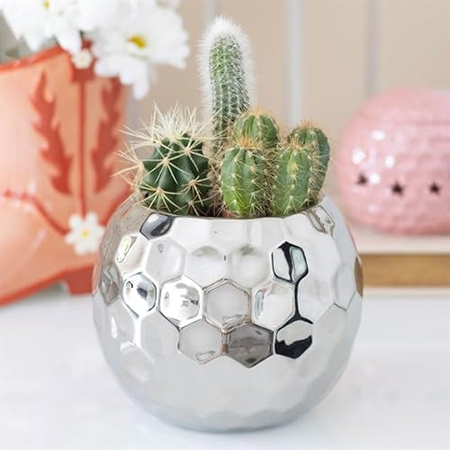 Inevitable Silver ball disco vase