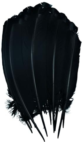 Fenisonavy Federn zum Basteln Truthahnfedern 25-30cm 24pcs Naturfedern für DIY Handwerk, Art Design, Basteln Karneval Rosen Montag Halloween Fest Versch (Schwarz)