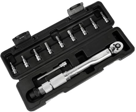FUWIND 11 PCS Precise Scale Torque Wrench Set 1/4Inch Drive Ratchet Repair Toolbox Kit 5-25Nm Quick-Change for Car Easy Install Easy to Use