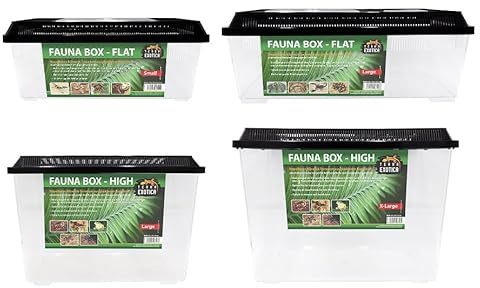 Fauna Box Flat small - 37x22x15,2 cm Transportbox, Faunarium, Terrarium | Fauna Box Flat Small 37 × 22 × 15,2 cm für Transport, Quarantäne und Aufzucht von Reptilien, Amphibien und Wirbellosen.