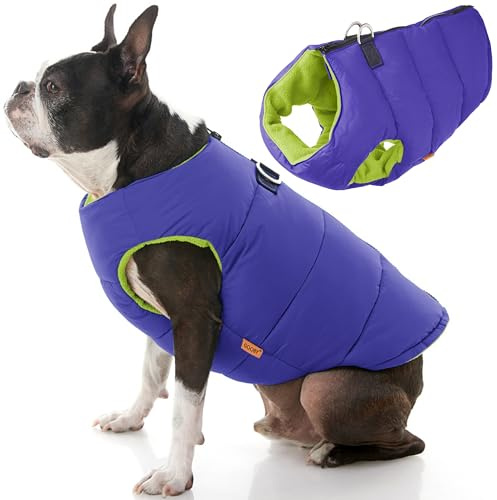 Gooby – vadderad väst solid, hundjacka, rock med dragkedja stängning och leash ring, solid lila, liten