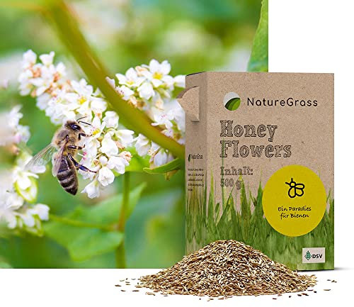 NatureGrass HoneyFlower | Bienenwiese Saatgut Mehrjährig Winterhart | Wildblumenmischung für Bienen & Schmetterlinge | Blumenwiese Samen für Eine Blütenreiche Bienenweide | 500g für 125 m²