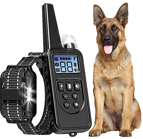 Generisch Trainingsequipment,praktisches und Neuartiges,2025 Neuheit Erziehungshilfen für Hunde,EAgility-Ausrüstung für das Hundetraining,Alle Größen von Hunden können verwendet Werden (il8)