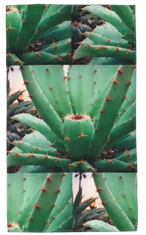 UDFKGLP Agave Cactus Pattern Towel Towels 27.5x16in Skin-Friendly Absorbent Fluffy and Soft for Bathroom, Beach, Outdoors