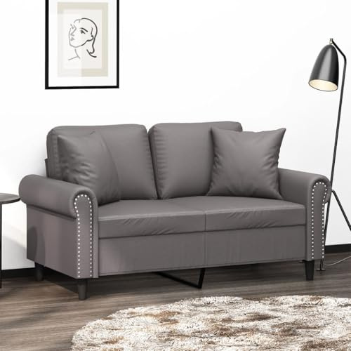 sephironlbb 2-Sitzer-Sofa mit Zierkissen Grau Kunstleder 120 cm Sitzbreite Metallgestell Wohnzimmer Couch Polstergarnitur mit Schaumstofffüllung und dekorativen Kissen für Komfort und Entspannung