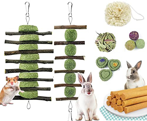 CAMITER 15 Pezzi Giocattolo da Masticare per Conigli，Giocattoli Coniglio Nano, Giocattolo per Animali Domestici per Chipmunk Guinea Pig Totoro