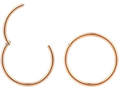 365 SLEEPERS G23 Titan 1,0 mm Segment Nasenring Hoop Knorpelohrring Septum Clicker Ring Klappbarer Lippen Conch Daith Helix Rook Tragus Lobe Ear Body Piercing Schmuck 2 Stck