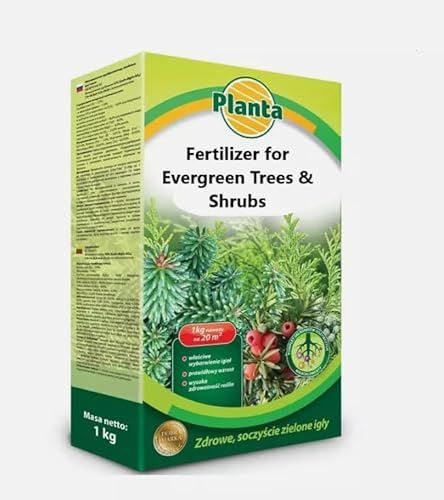 Evergreen Tree and Shrub Plant Food, Promotes Growth and Colour, 1 kg