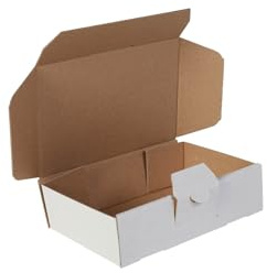 packster 200x Maxibriefkarton Versandschachtel weiß 165 x 115 x 48 mm A6 Steckverschluss Weiss Post Faltschachtel
