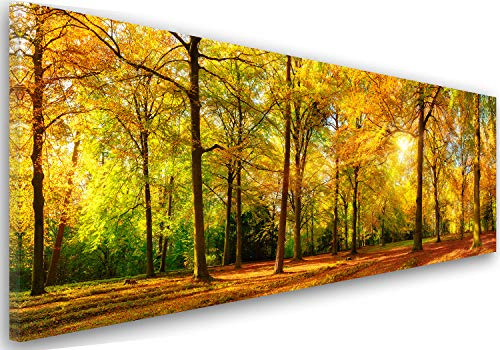 Feeby Bilder Wald Bäume 150x50 cm 1 Teilig Wohnzimmer Schlafzimmer Büro Flur Küche Wandbilder Modern Bild auf Leinwand Wanddekoration Kunstdruck Design Natur Sonne Braun Grün