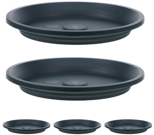 Gatuida 5 vassoi per l'umidità dei Bonsai: vassoi -Goccia, Acqua per Piante, sottovasi per Piante per Interni ed Esterni, Cactus, grasse, Bonsai.