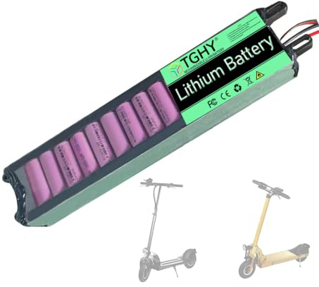 TGHY Batteria per Scooter motorizzato da 36 V, Batteria al Litio da 36 Volt